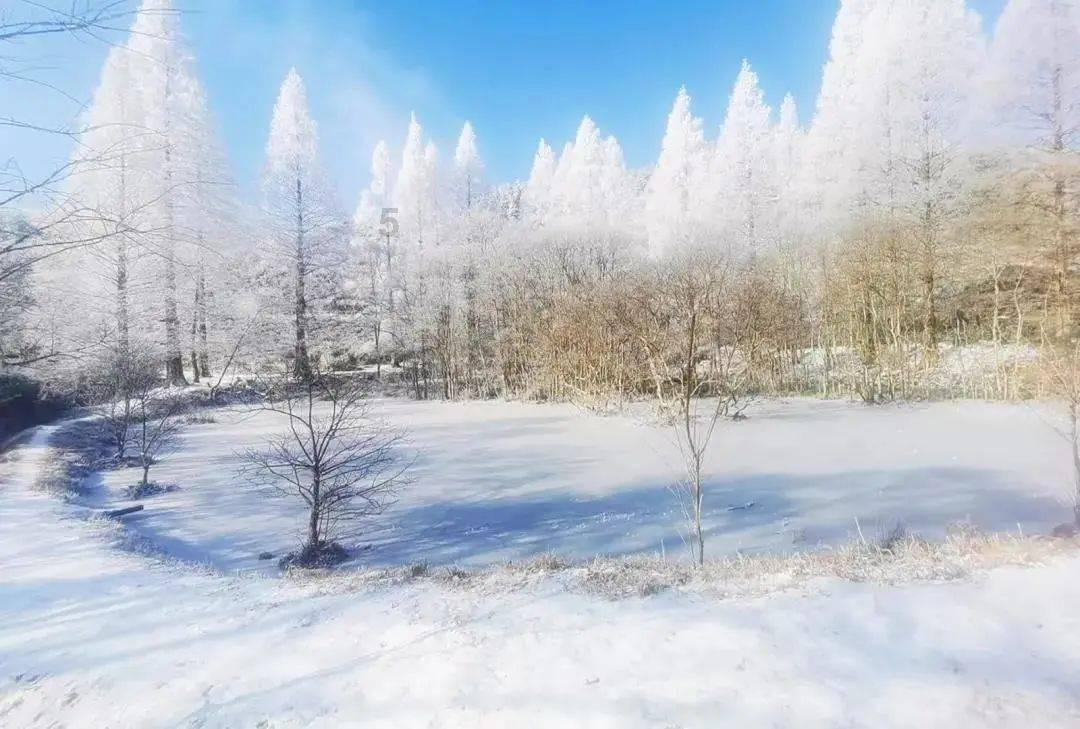 小红帽找不同
