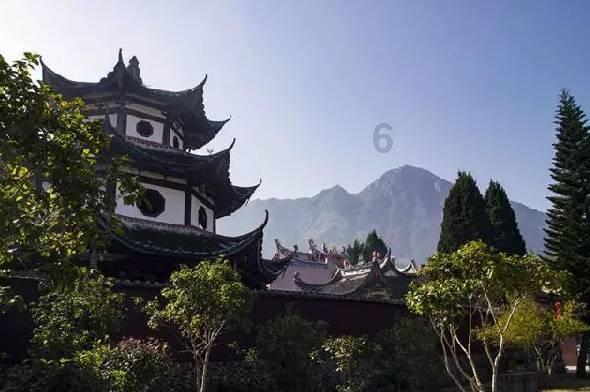 怎样考驾照最快游戏画面