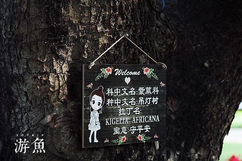 谁知道怎样减肥吗?游戏画面
