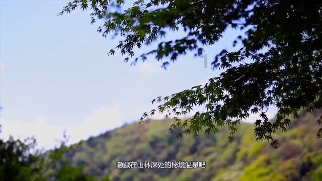 疯狂热气球大冒险