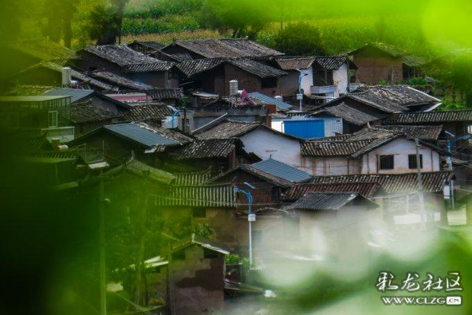 女生说怎么来怎么神回复？