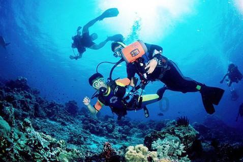 清华附中湾区学校二期校区在广州开工,将开放5310个学位