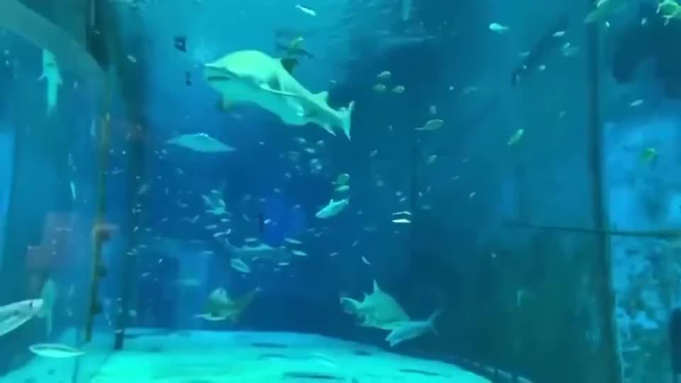 迷你汽车记忆卡