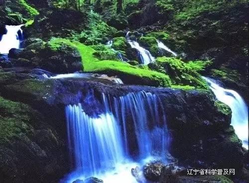 疯狂的小偷