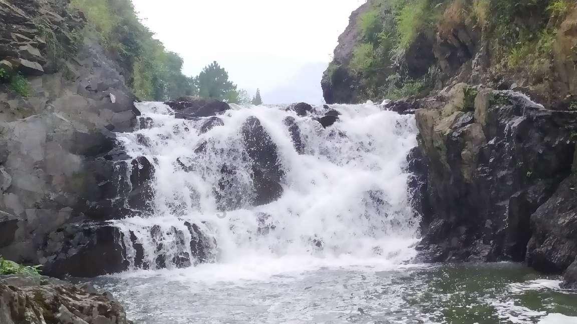 花瓶粉碎者