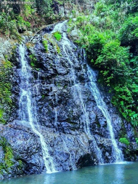 逃出猫头鹰岛